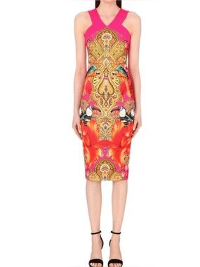 Ted Baker Valeena Paisley Toucan Print Dress size 2